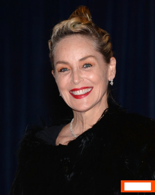 Sharon Stone pic #607241